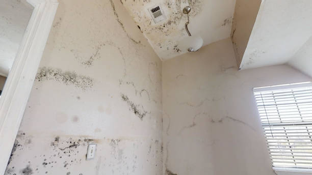 Best Residential Mold Inspection & Testing  in Lubbock, TX